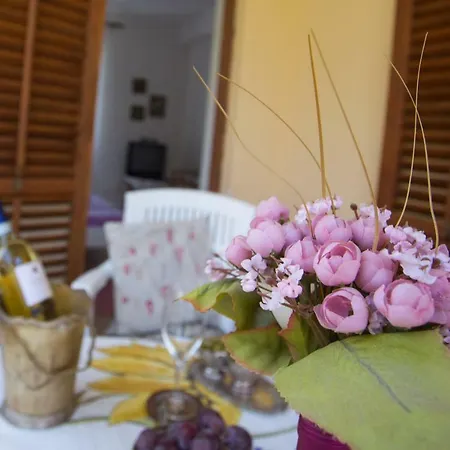Mihic Apartment *
