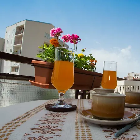 Apartment Mihic